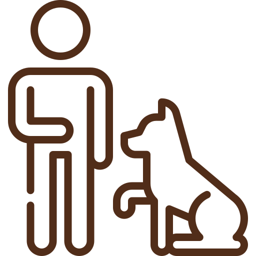 Experienced Team