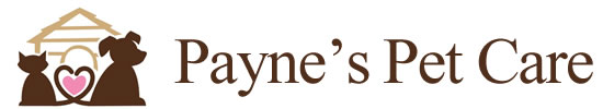 Dog Walking & Pet Care in Caterham, Surrey | Paynes Pet Care