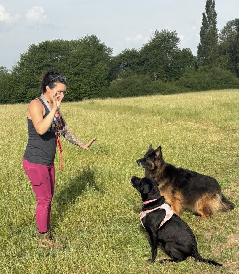 Sophie Marie Payne - Dog Training Sophie Marie Payne - Dog Training